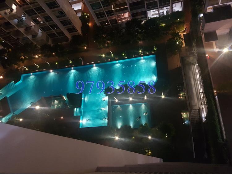 Oasis @ Elias (D18), Condominium #169805252